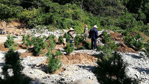 1536622516948597MwqF.jpg ͼƬ2.jpg