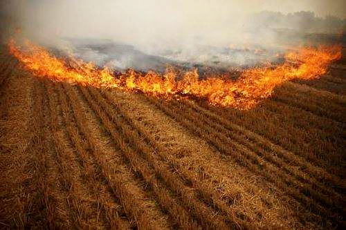 timg (5)_����.jpg