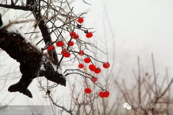 640.webp (1)_����.jpg