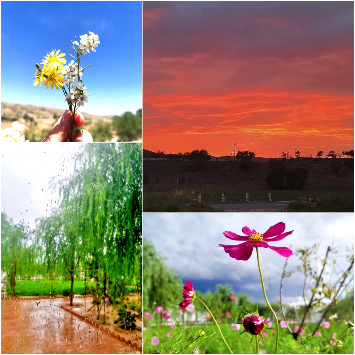 1723426342939378eqyM.jpg ÎÒÓëÕâ×ùɽµÄ¹ÊÊÂ.jpg