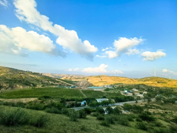 ���񳡾����̻�����ֲ������ϲ������ɫ�ĳ�վ���������������Ӧ��_����.jpg