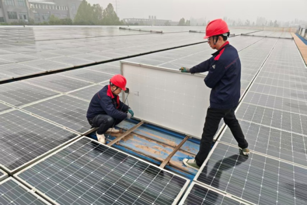 1772522950249478OEfe.png ͼƬ 3.png